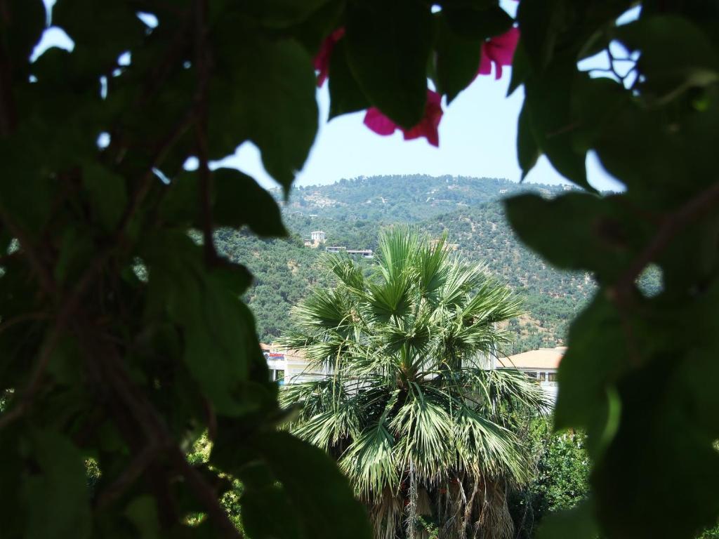 Fotinos House Skiathos Dış mekan fotoğraf